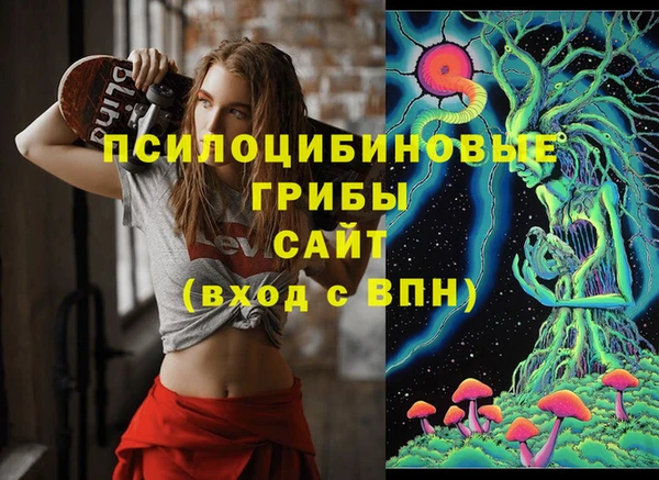 хмурый Алексеевка